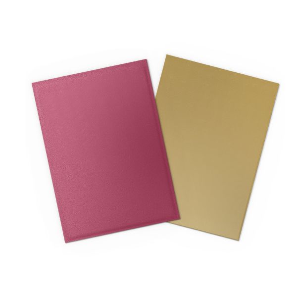 Dragon Shield Card Sleeves - Special Edition Matte Sleeve Red/Gold 100st (Standard) - Hobbykort